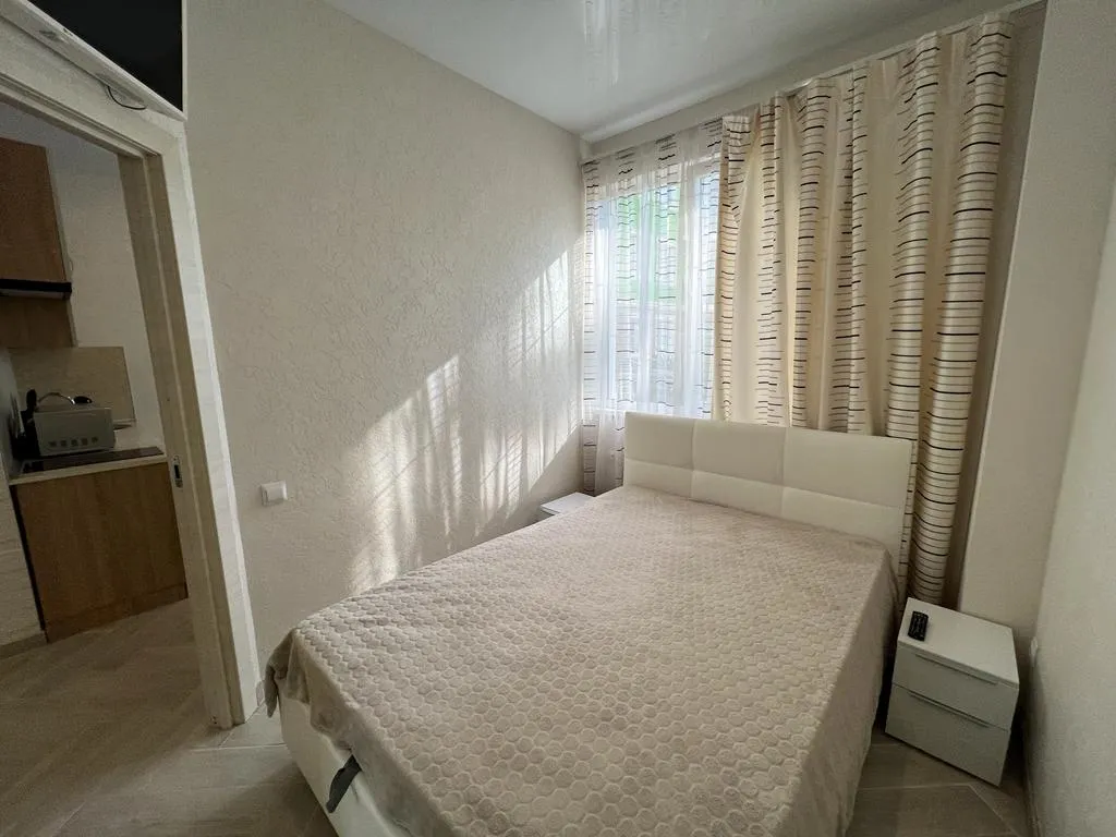 Квартира Квартира Апартамент Арт лайт сити у моря — Сириус