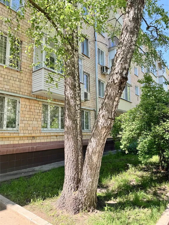 Квартира Светлая квартира в центре, 8 минут до метро и 9 до зоопарка — Москва