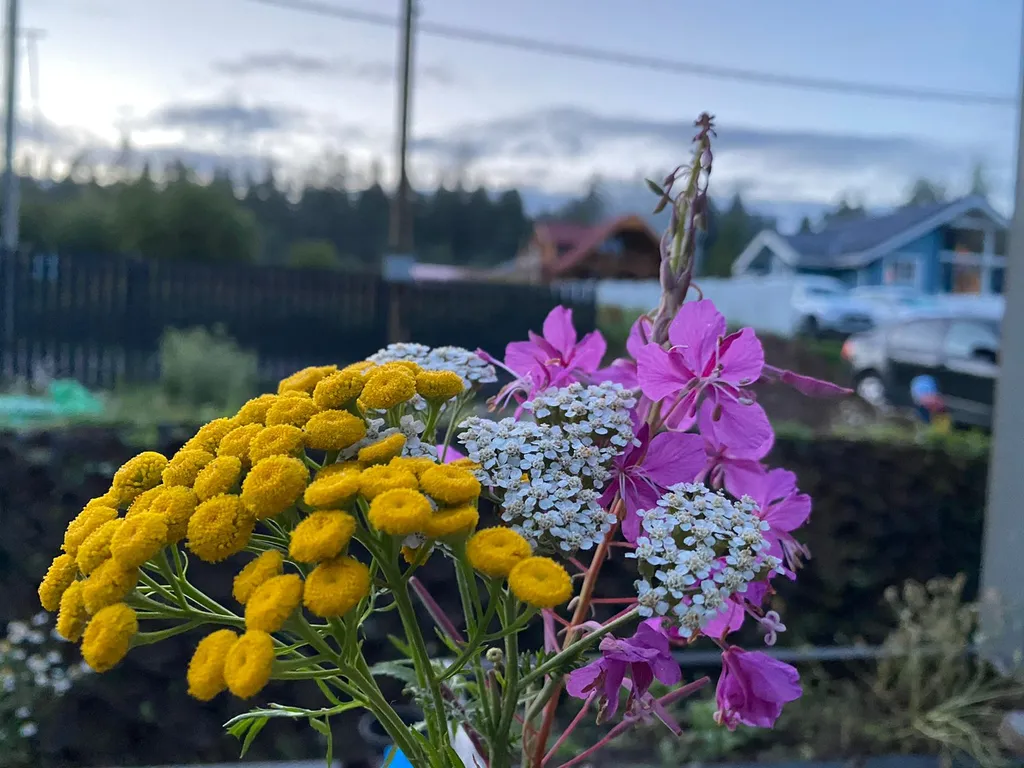 Дом в лесу рядом с озером