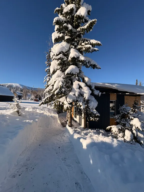 Дом с видом на горы в елочках