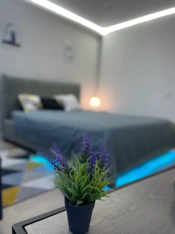 Комфортная для проживания квартира — аренда посуточно в Пенза