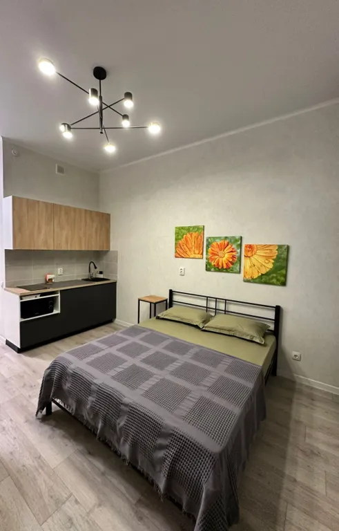 Уютная студия без посредников