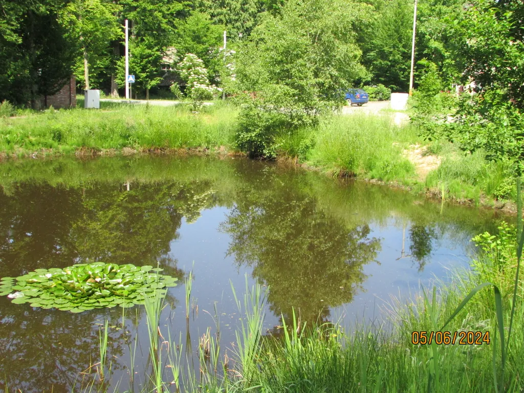 Квартира Просторная квартира на Балтийском побережье — Светлогорск