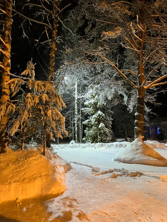 Дом Переславль