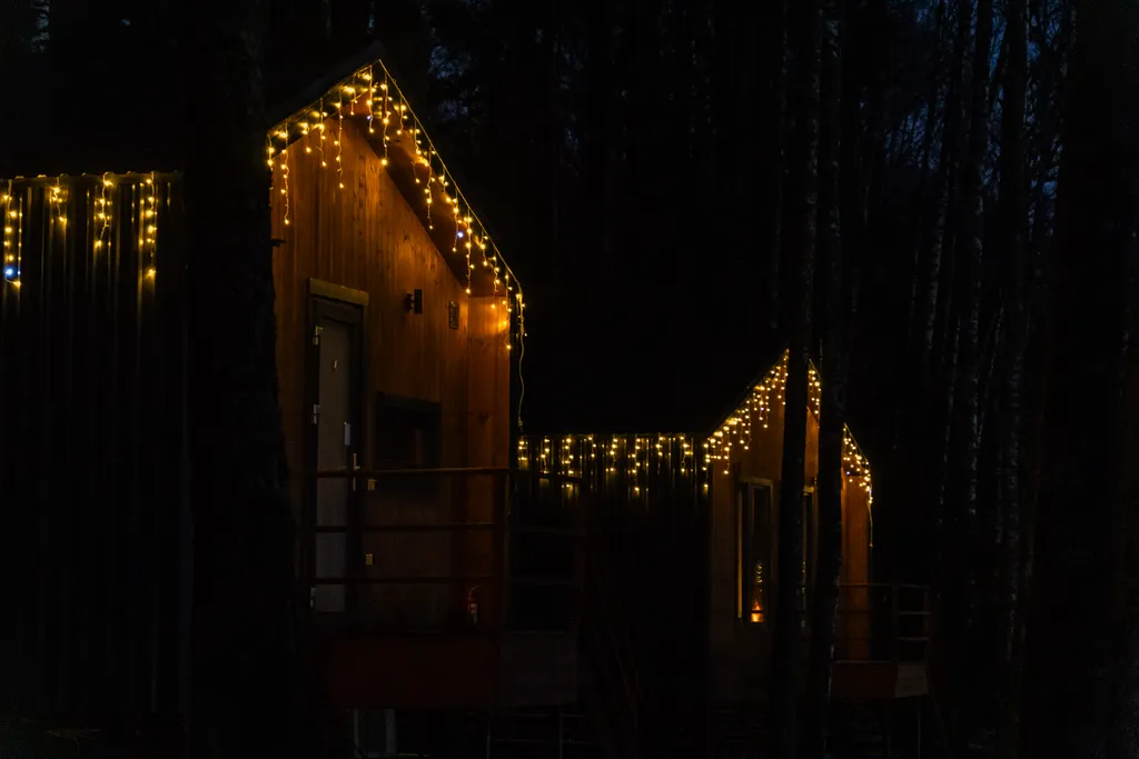 Дом с видом на лес