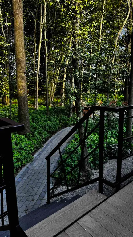 Уютный дом с видом на лес