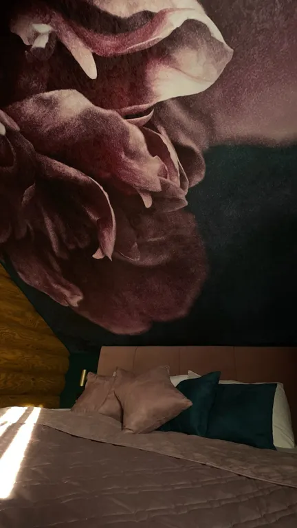 Стильный уютный дом Twin House