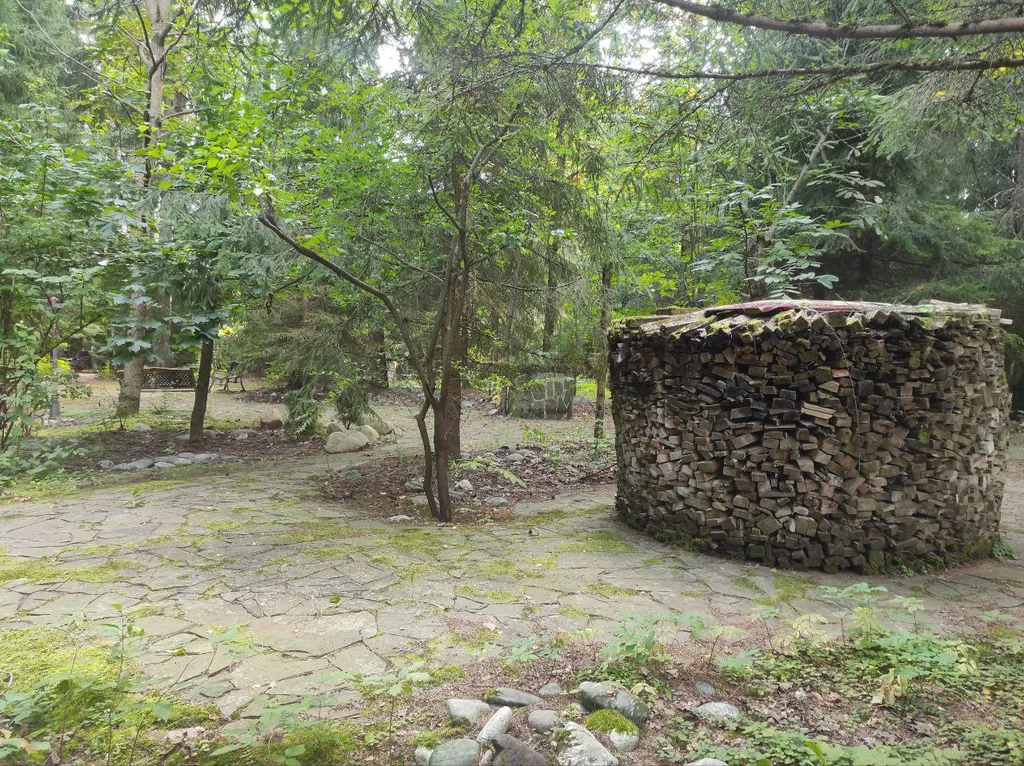 Коттедж Дом с тропическим бассейном, сауной и каминами — Московский