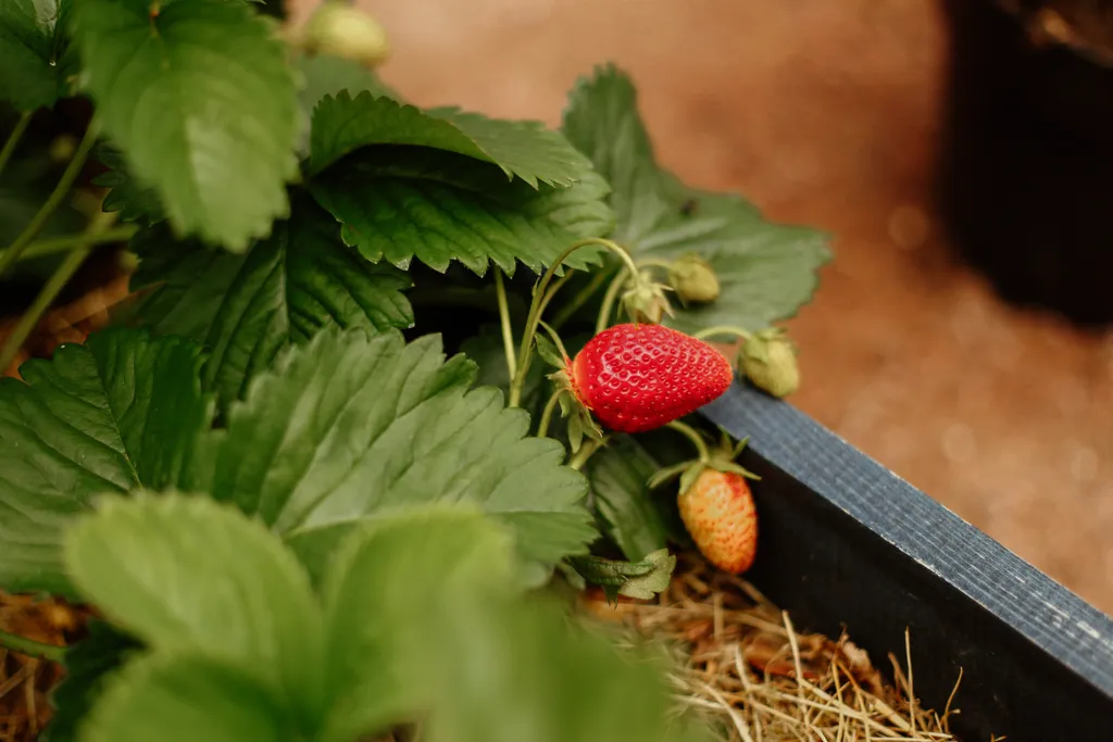 Милый домик у озера с баней