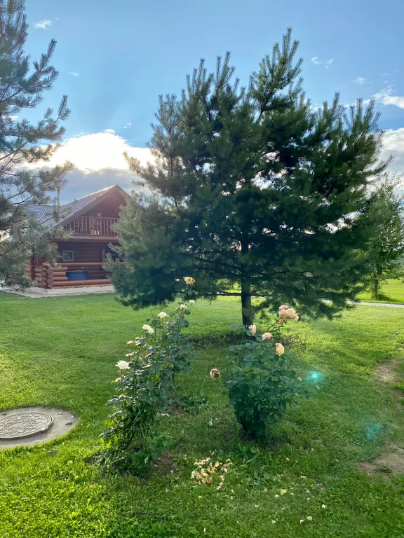 Уютный коттедж недалеко от Сорочан