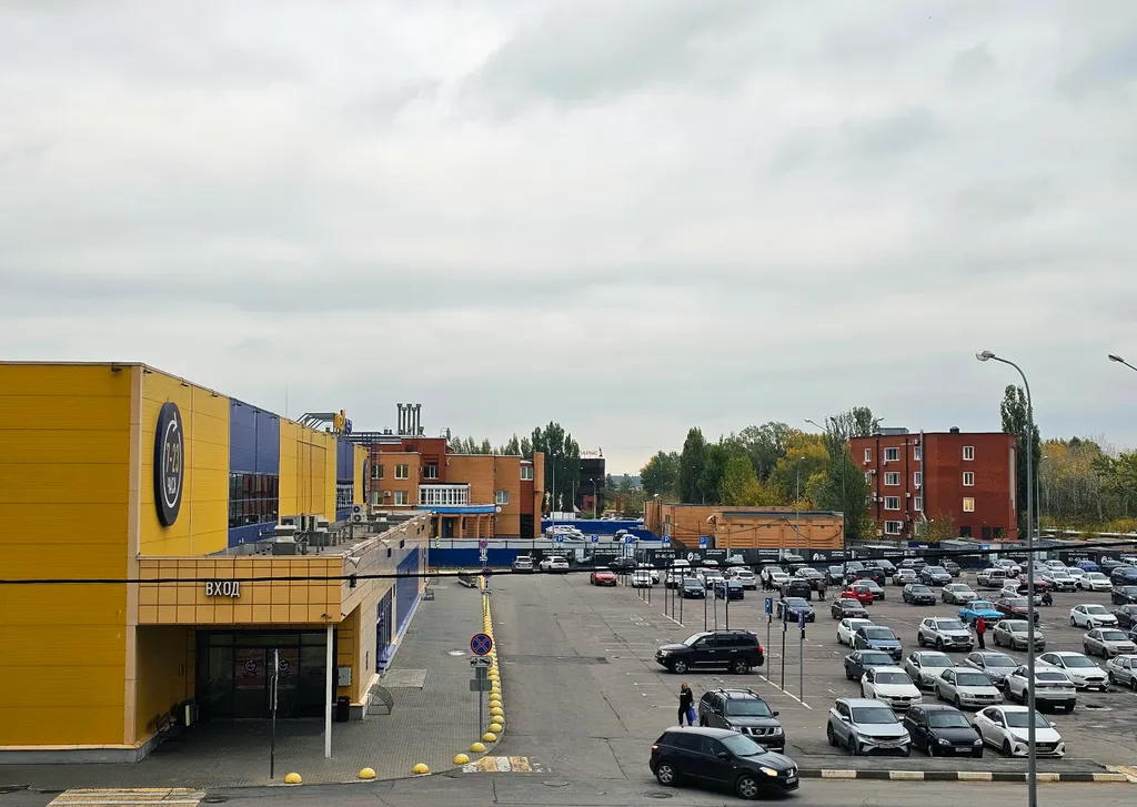 Сафари— дикий уют в сердце города