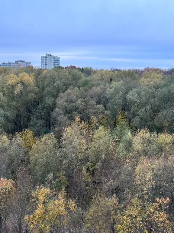 Квартира Квартира Апартамент Зазеркалье — Калининград