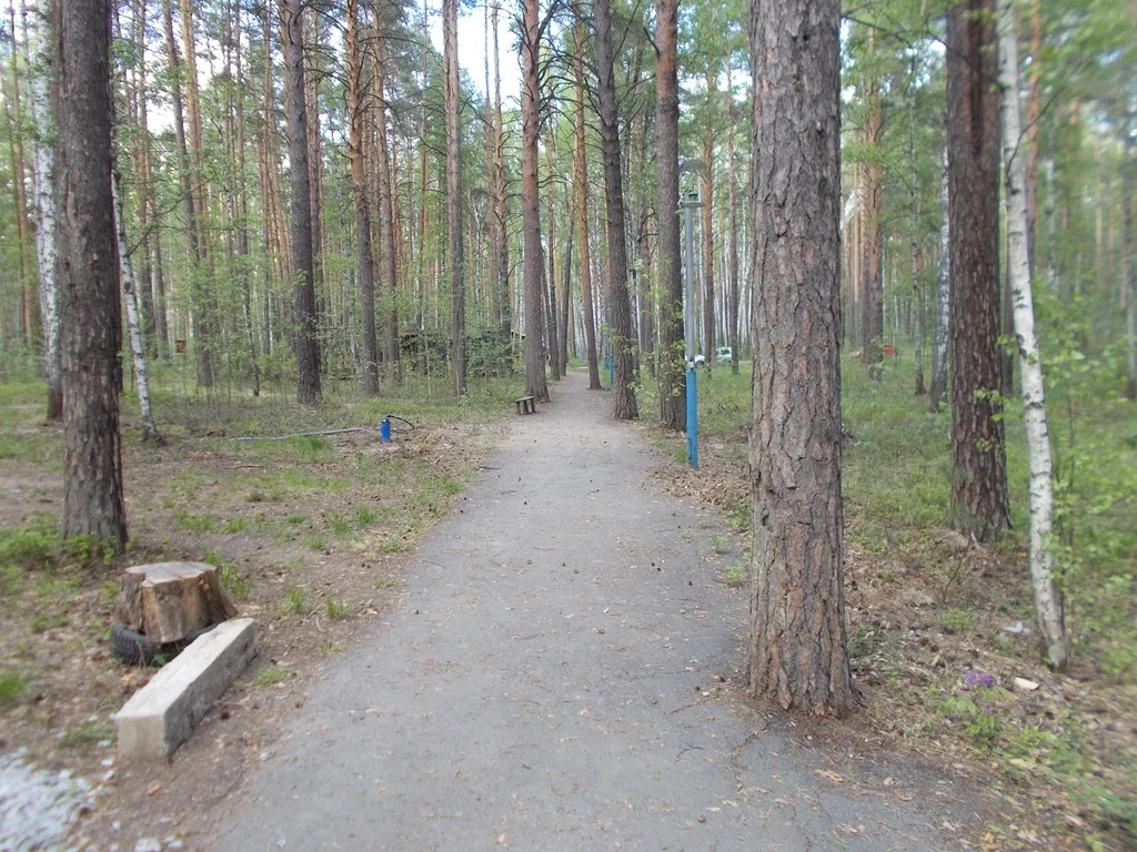 Дом в лесу на берегу озера