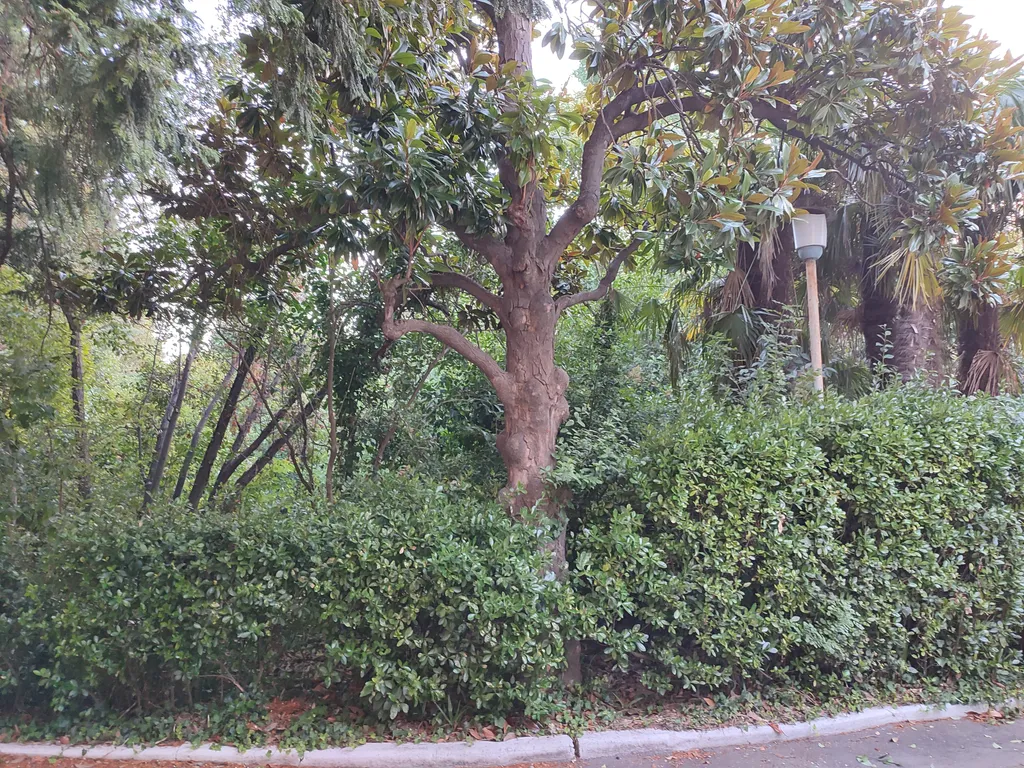 Уютная квартира в центре города с бесплатной парковкой