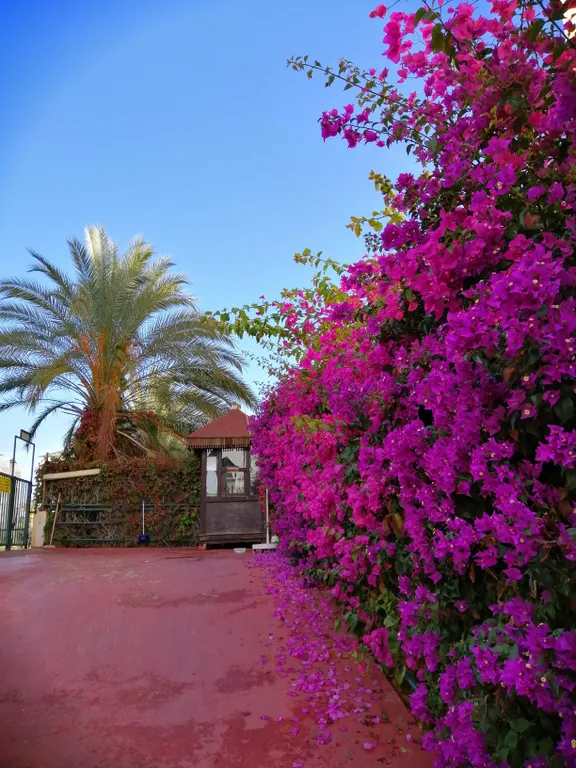 Сразу у моря уютные апартаменты!