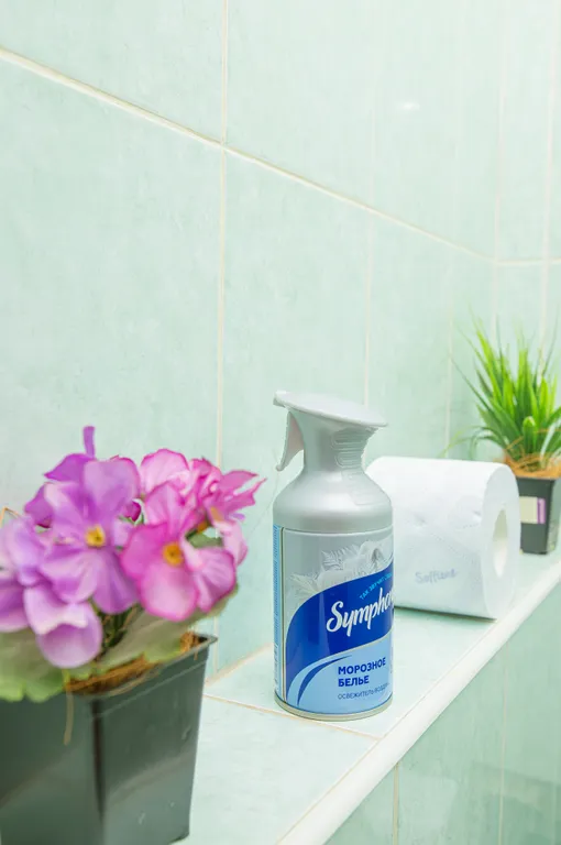 Уютная трехкомнатная квартира