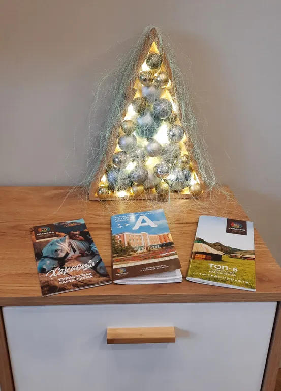 Дизайнерская студия в центре Абакана