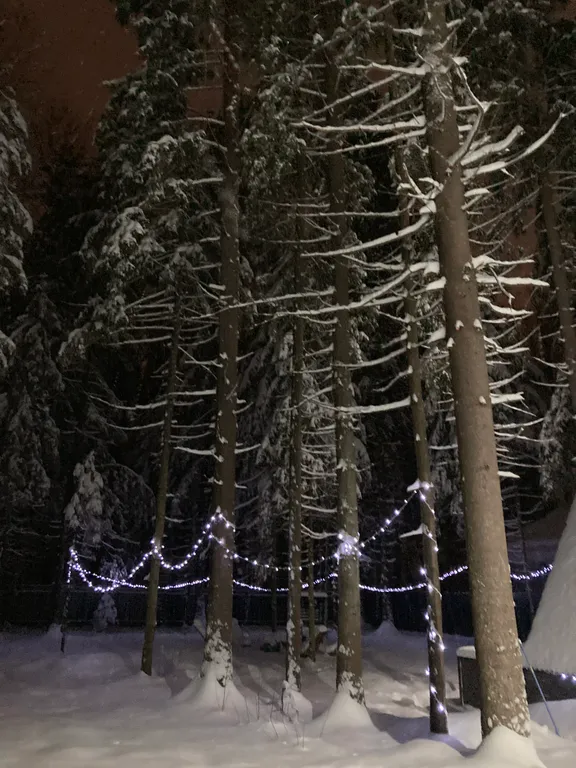 Уютный домик с банным чаном и панорамным видом на лес