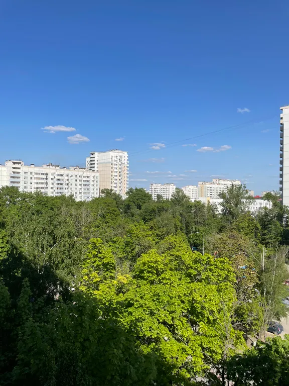 Квартира Квартира Студия в двух минутах от метро Академическая — Москва