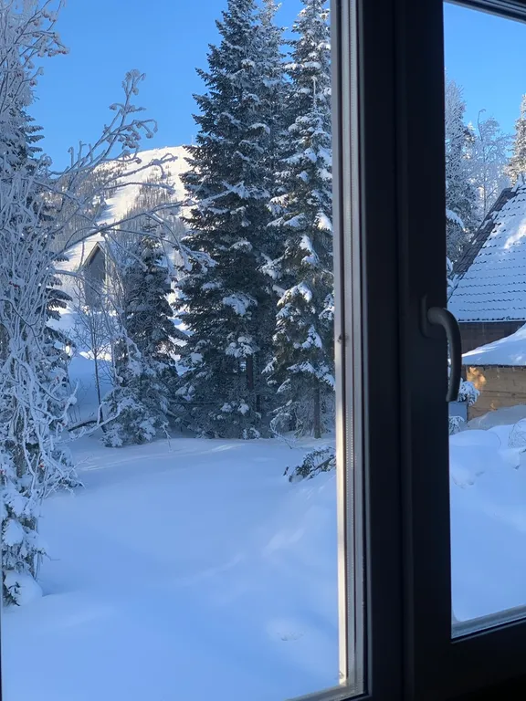 Дом в тихом месте