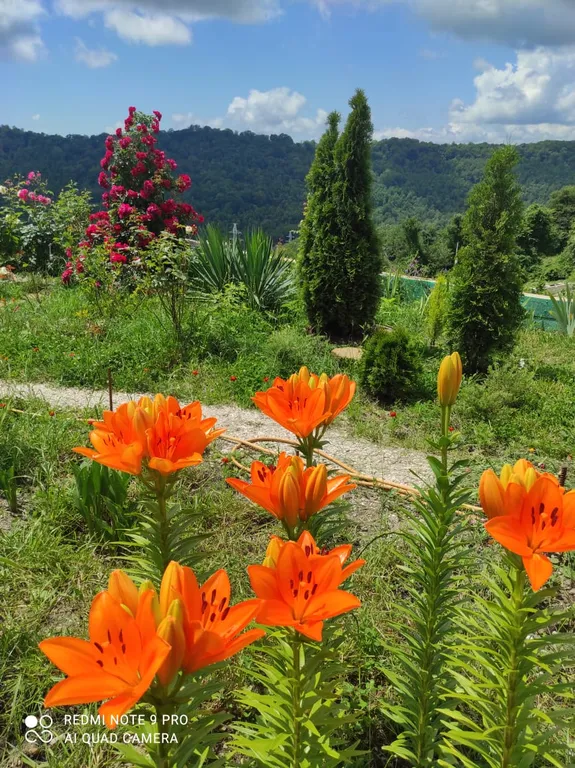Просторный дом с райским садом на вершине холма с супер видами