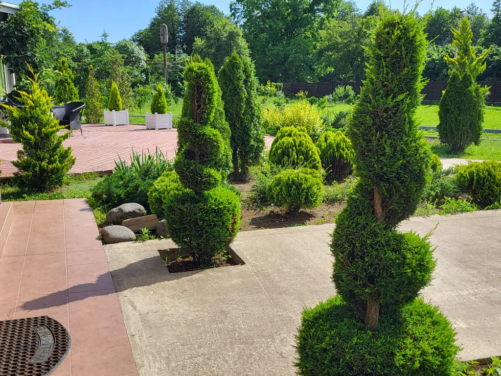 Гостевой дом Лаванда