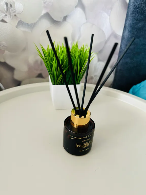 Студия в центре города