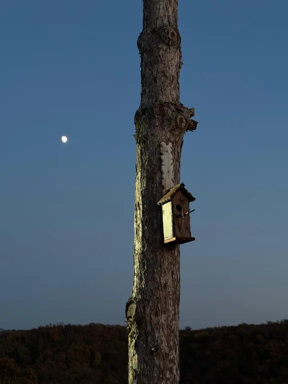 Gide villa посреди леса с видом на море