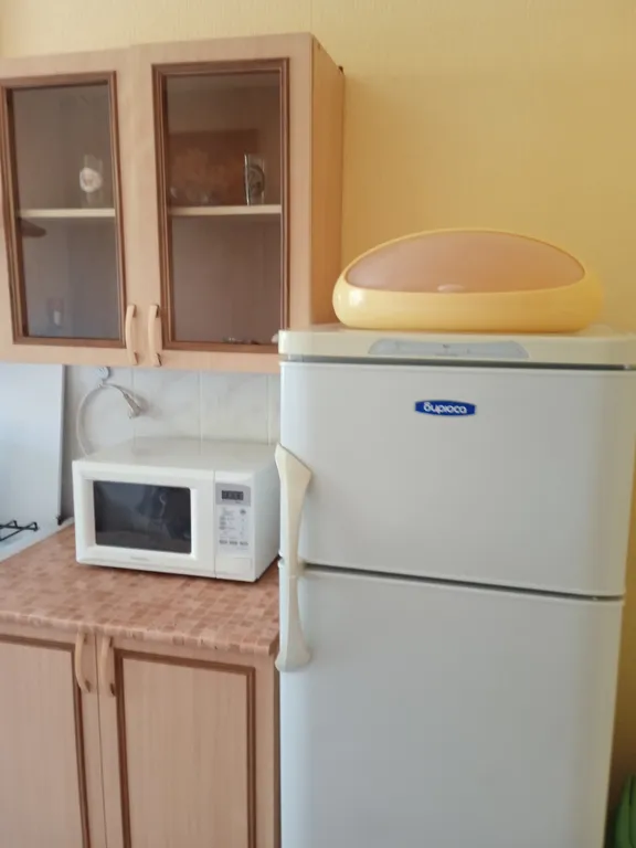 Уютная квартира с видом на лес