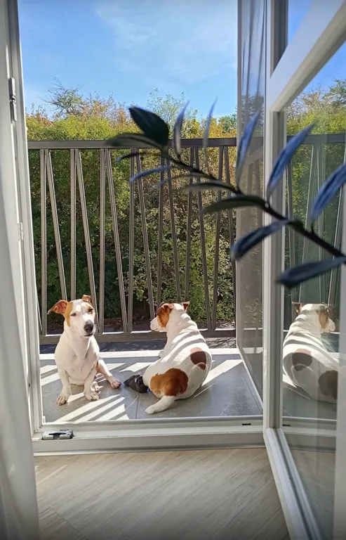 Квартира Смарт квартира в центре — Севастополь