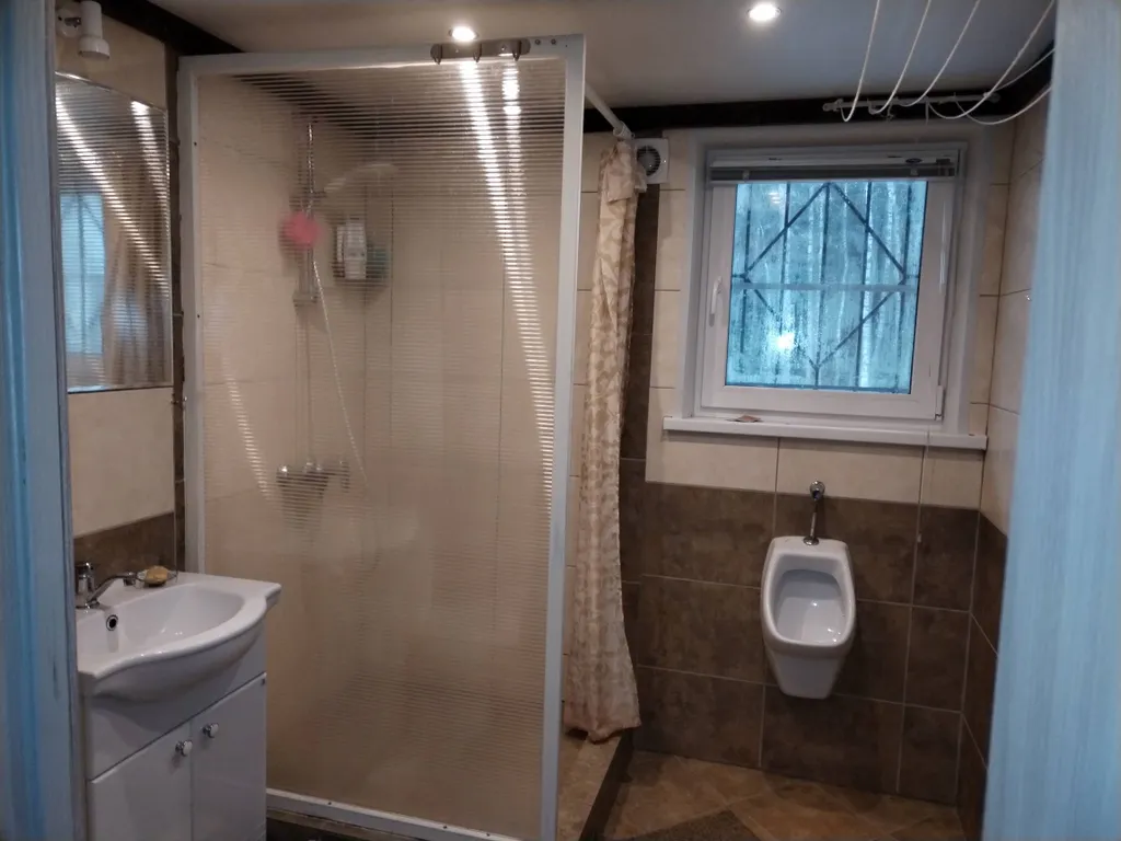 Большой коттедж в лесу