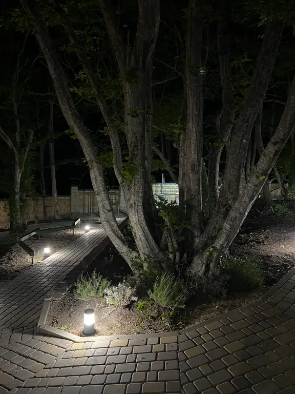 Домик в лесу у моря с верандой