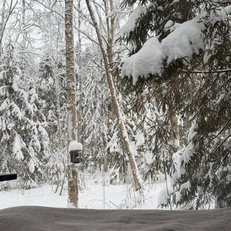 Коттедж Забудьте о городе, ваш лесной дом для тихого отдыха ждет вас — Истра