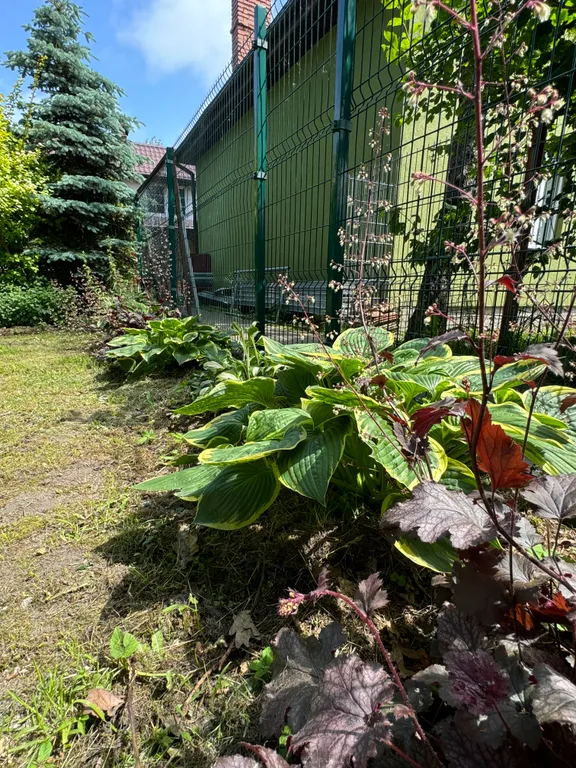 Квартира Квартира Первая линия у моря — Зеленоградск