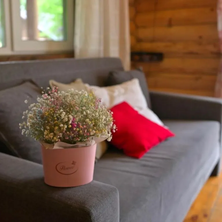 1-комнатный Дом