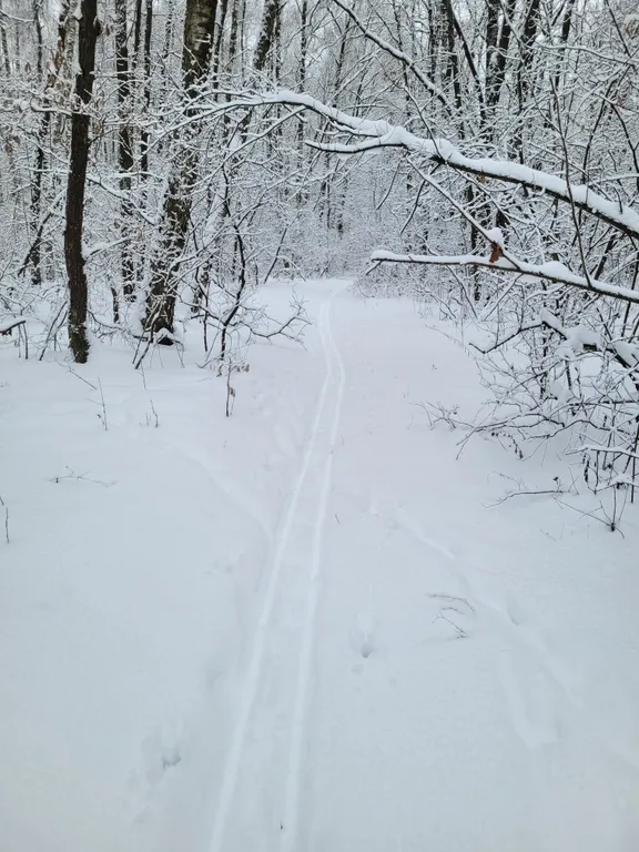 Дом с терассой на опушке леса