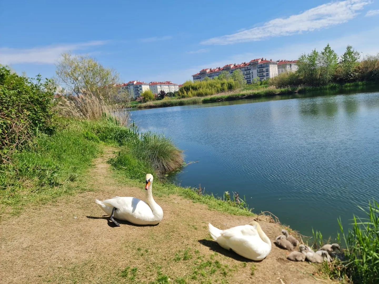 Орнитологический парк. По дороге к морю.