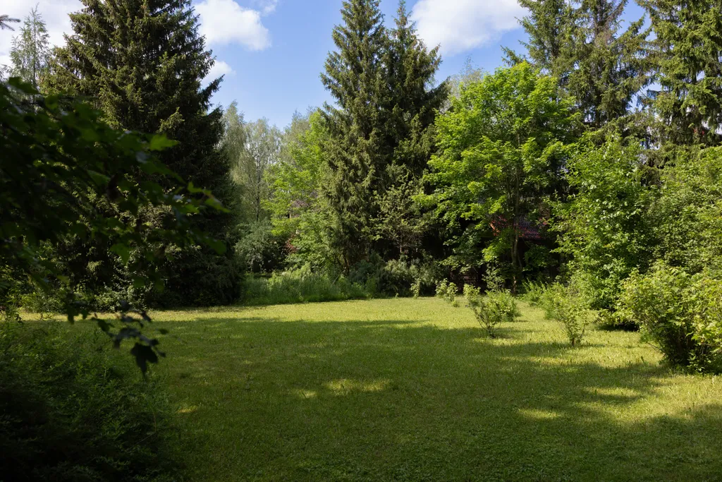 Особняк с большим бассейном в живописном лесном поселке