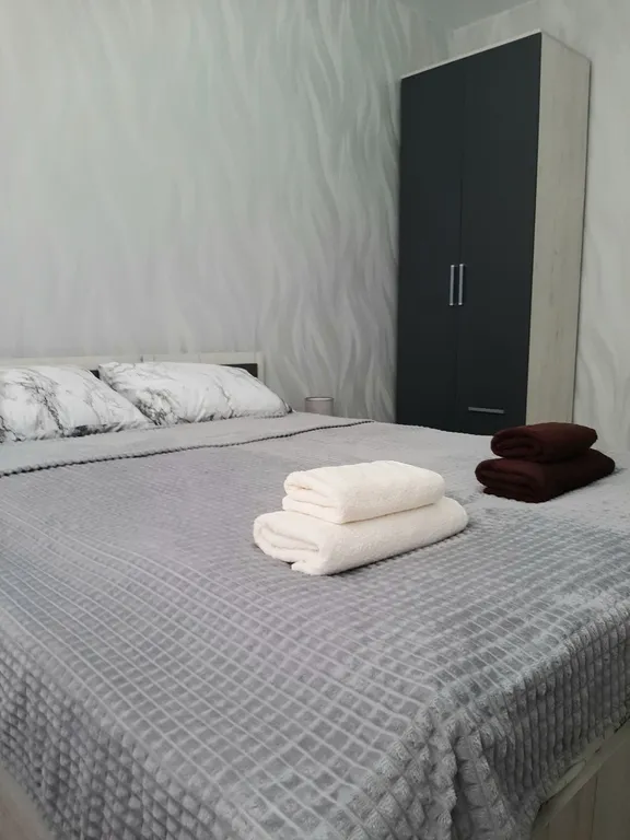 Уютная 1-комнатная квартира — аренда посуточно в Калининград