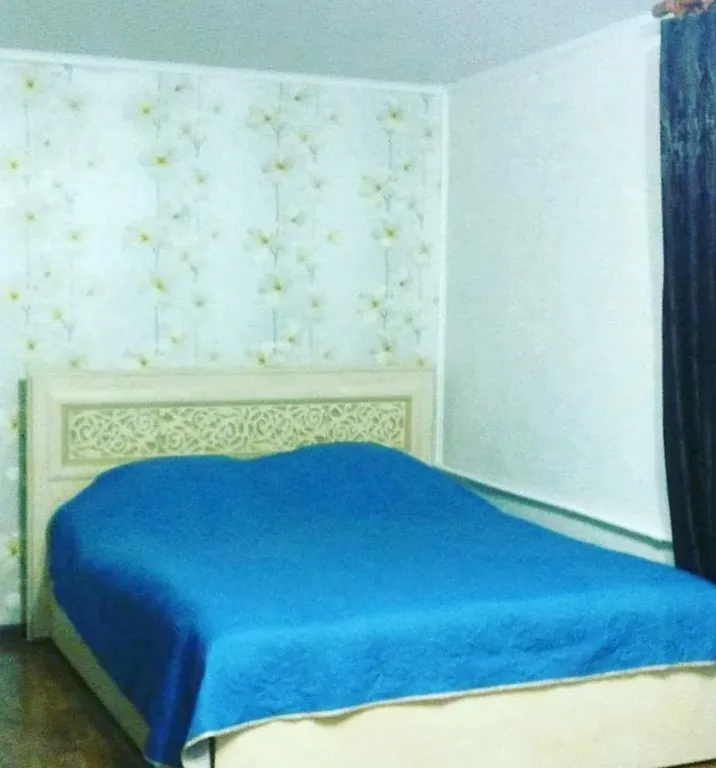 Квартира центре города — аренда посуточно в Петропавловск-Камчатский