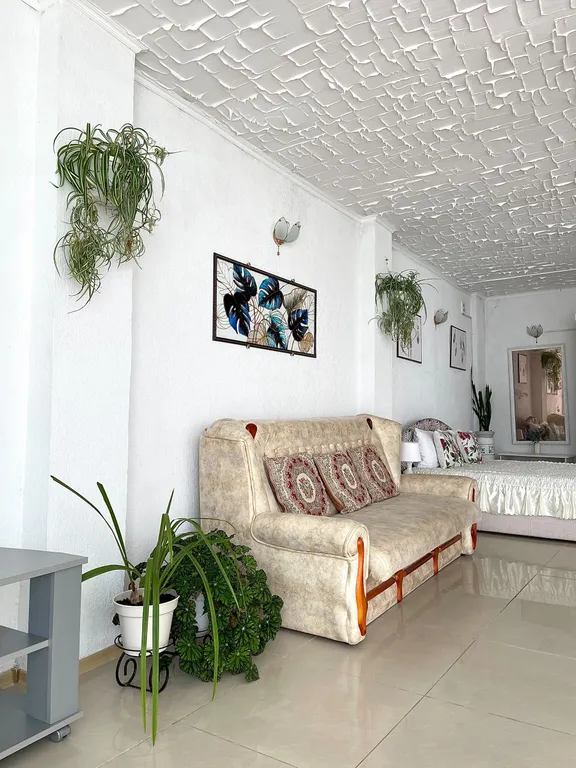 Апартаменты с одной спальней и террасой