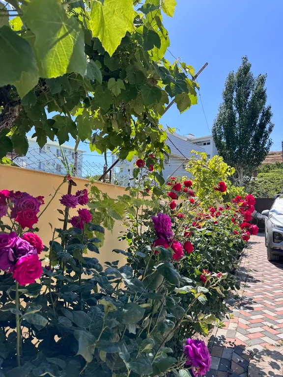 Студия у Хореки с кондиционером и парковкой