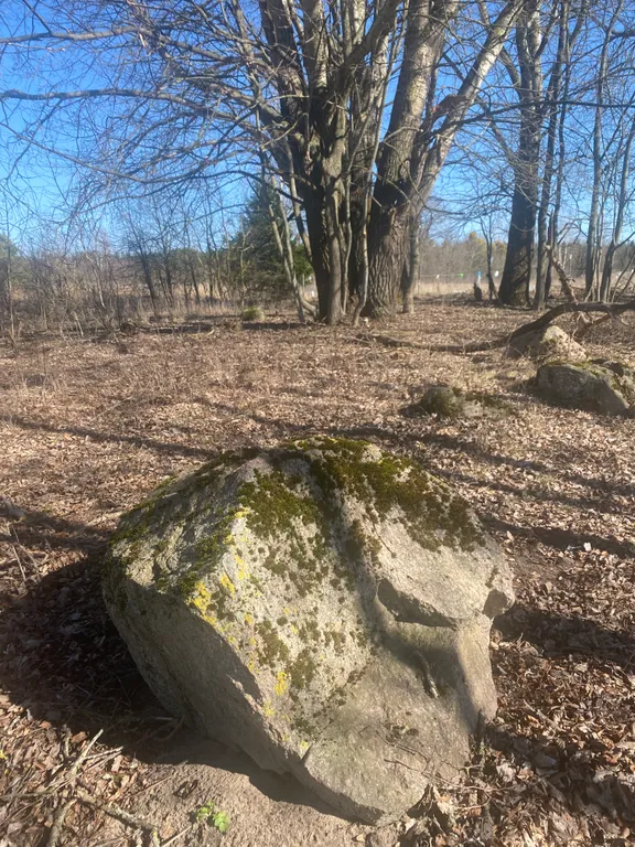 Чудесный дом в чудесном месте Беловежская пуща