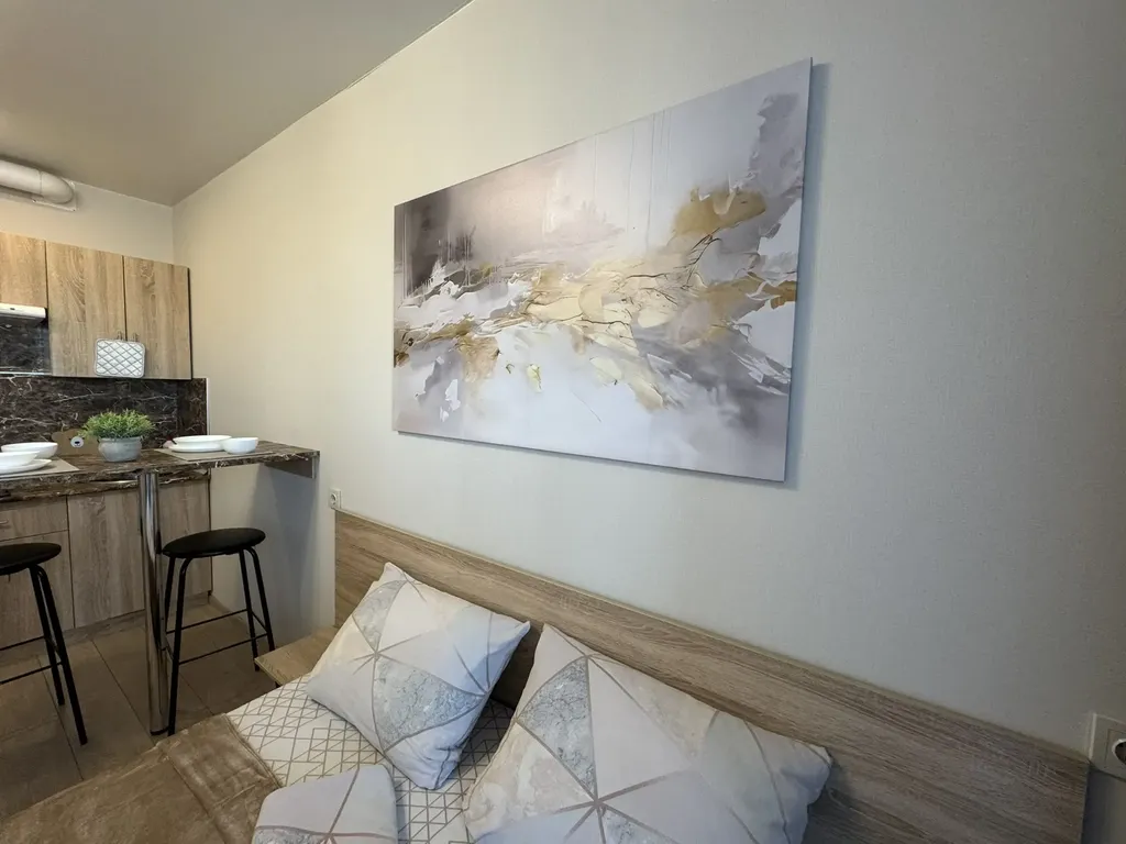 Студия в центре