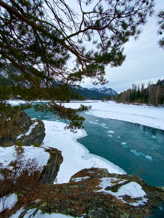 Коттедж для больших компаний на Алтае