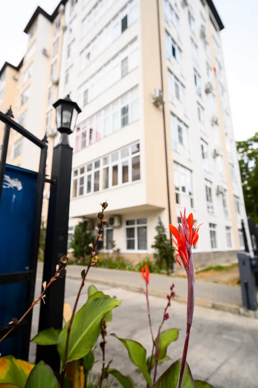 Квартира Апартаменты у моря в Сириусе — Сириус