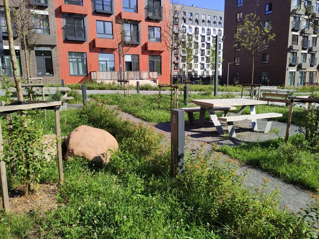 1 комнатная квартира лес