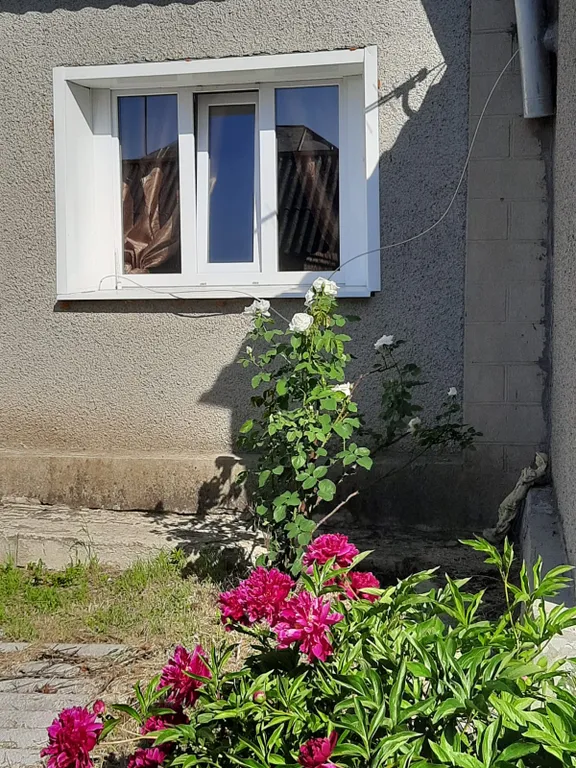 Деревенский домик