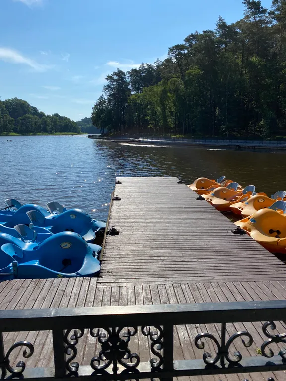 Квартира 1-комнатная квартира на Тихом озере — Светлогорск