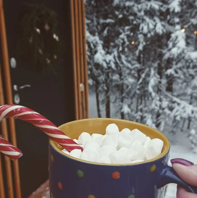 Lagom house - дом с панорамным видом в лес